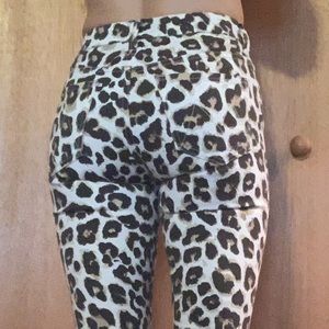 Animal print pants